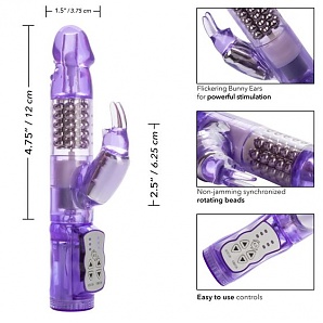 Waterproof Jack Rabbit Vibrator- Purple